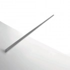 spina_p-1